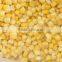 iqf sweet corn kernel
