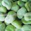 TOP GRADE Broad Green Beans for hot sale and beans from direct factory