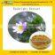 GMP manufacturer supply 100% Pure Eyebright Powder for Eye Health