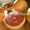 grapefruit