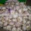 China Red Garlic Exporters, Garlic Selling Leads