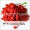 100% Natural Goji Berries from Ningxia China