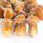 New Crop Frozen Boletus Edulis