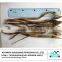 Dried eel fish suppiler from China