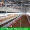 Chicken Greenhouse with Water Line Equipment