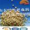 China made good quality DAP fertilizer granular in bulk/container