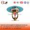 Fire sprinkler hidden camera for fire fighting system