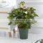 High Impact Plastic Flower Pot