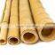 Wholesale yellow bamboo canes with low price