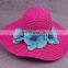 Collapsible Butterfly Straw Hat Blue Flower Large Eaves Sunscreen Beach Hat