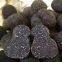 Factory Price Premium Quality Fresh Wild Black Truffle Mushroom  (1-3CM) from China