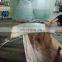 Vacuum Bagging Film for laminating glass
