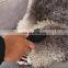 Widely Used Superior Quality Electric Pet Trimmer Mini, Electric Pet Shaver