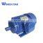 AC Induction Electric Motor 75kw