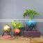 Private Label Tulip Mini Stand Garden Artificial Orchid Hanging Plants Potted Flower