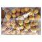 Yummy seafood snack frozen takoyaki for export
