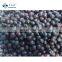 Sinocharm Brc A 1.5cm Whole Frozen Blueberry Bulk IQF Fresh Fruits Frozen Berries