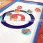 UHMWPE Curling Practice Board/Skating Practice Floor Sheet Synthetic Ice Rink Flooring Panels