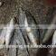 Seafood and frozen delicious Slender Mackerel with size 55 - 70 pcs / 10kg