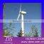 wind turbine generator 220V 110V