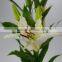 Fashionable Siberia white lily bouquet
