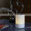 Ultrasonic humidifier lanaform aroma diffuser with Time Setting DT-G03-30