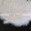 Stage Party Supplies White Large Feather Angel Wings With Turkey Feather