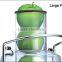 High-speed Magic power juicer 850W as seen on TV, Power Press Juicer with CE approval