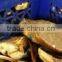 Dungeness Crab