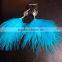 Brithdaystone soft feather earring