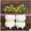 2016 colorful table round porcelain flower pot ceramic plant pots yellow for wholesale