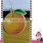 new style cheap and good quality hanging paper car air freshener
