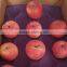 Fresh Red Fuji Apple Red Fuji Gold delicious green apples