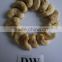 Cashew nut Nuts & Kernels W240, W320, W450, SW240, SW320, LP, WS, DW grade A Processed Cashew