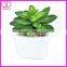 mini succulent planter