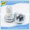 China customized manufacturer nonstandard stainless steel slotted screw
