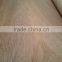 0.3mm Face Natural Keruing Veneer / Gurjan face veneer A grade