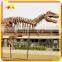 KANO4352 Outdoor Decorative Fiberglass Dinosaur Artificial Skeleton