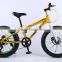 Trade assurance 2015 DIY snow bike/bicycle/cycling with fat 4.0 tire ,OEM available, made in China