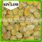 top quality chinese frozen chestnuts kernel