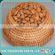 Apricot -Apricot Nuts - Raw Bitter and Sweet Kernels, Apricot Kernel from Own Factory