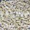 split blanched peanut kernel of china