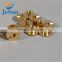 China factory wholesale brass screws