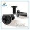 China Hot Sale Torx Socket Head Cap Screw with washer