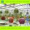 Single-span Hydroponic Blackout PC Sheet Greenhouse