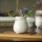 Attractive indoor glazed white ceramic small flower pots