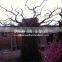 Q0910004 white artificial dry tree for decoration
