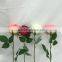 Beautiful Floral Rose Flower Artificial