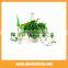 6pcs/set Water Spike Garden Plant Watering Spikes