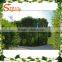Hot sale plastic outdoor Nature green wall Garden decoration plants artificial boxwood hedge artificial hedge fence